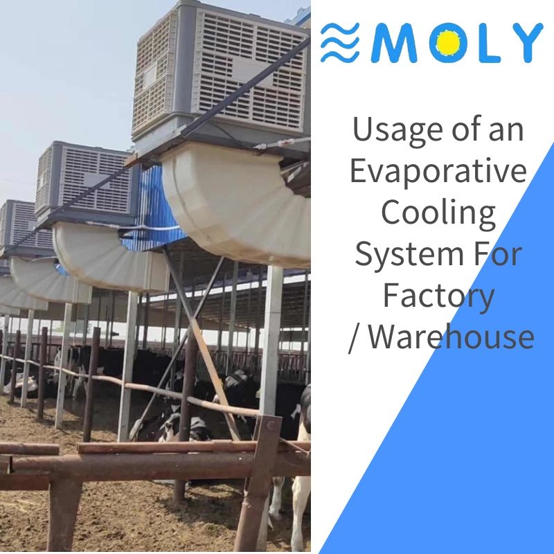Usage of an Evaporative Cooling System For Factory
